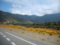 /album/fotogaleria/a116-jpg/